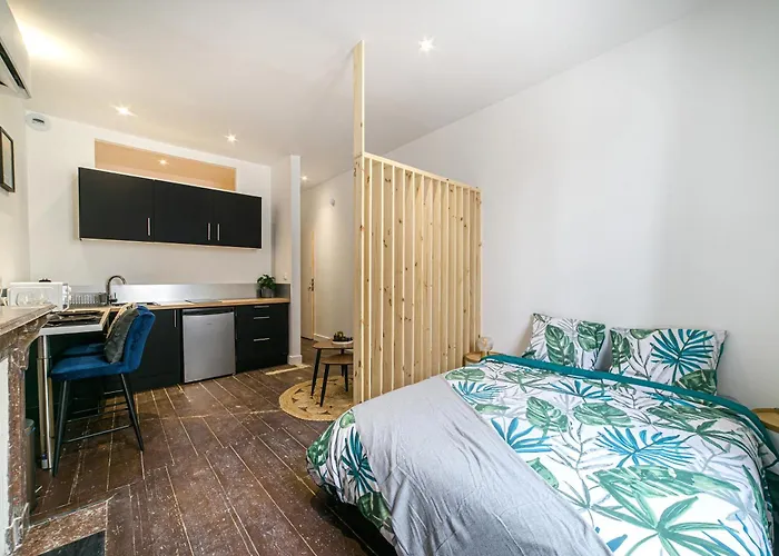 Apartman Le Cocon - Hyper Center - Clim&wifi *